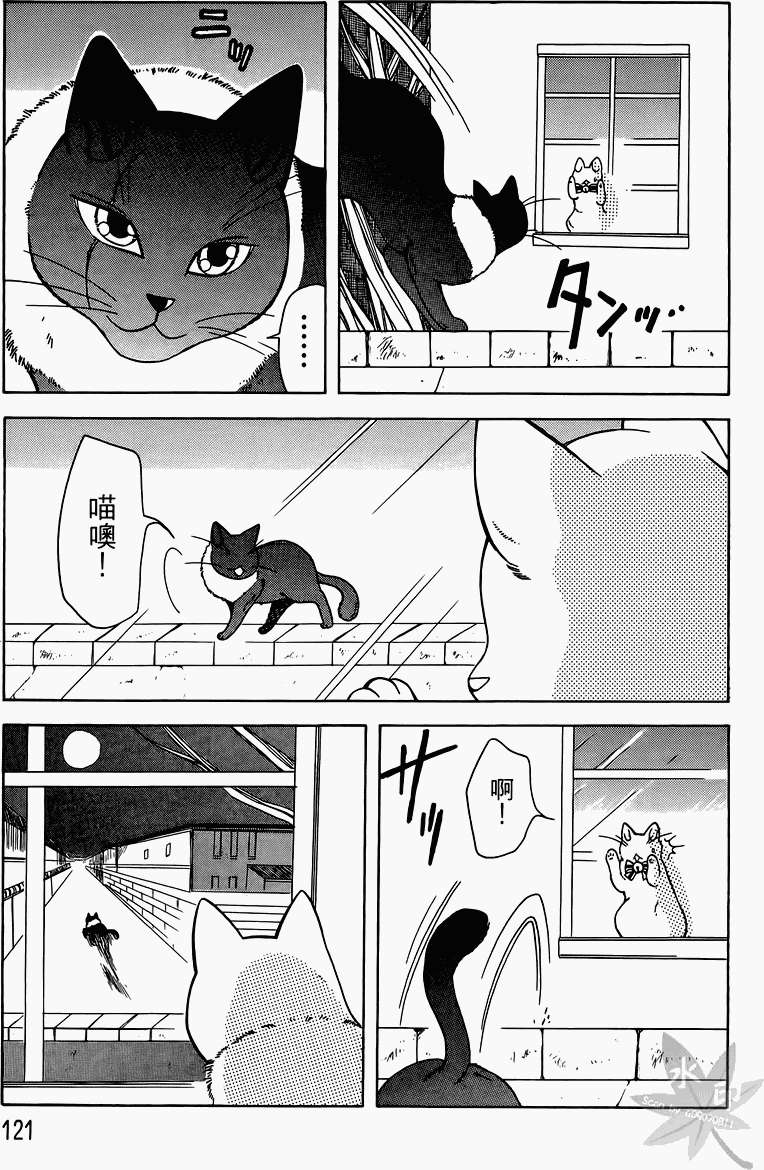 第118页