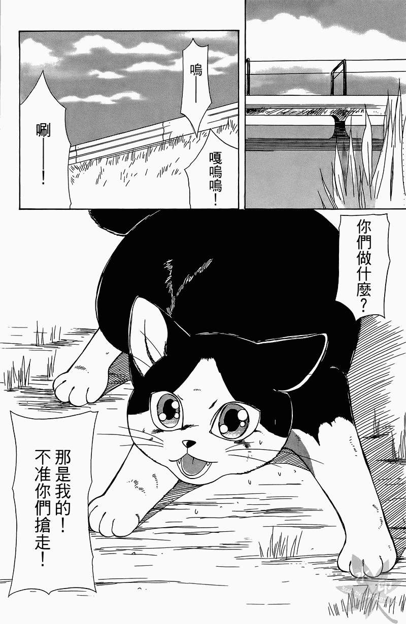 第121页