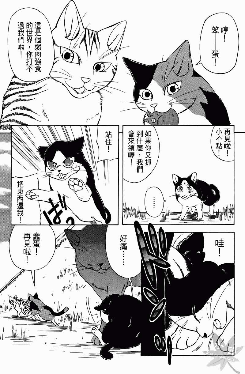 第122页
