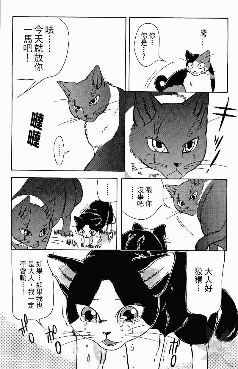 第127页