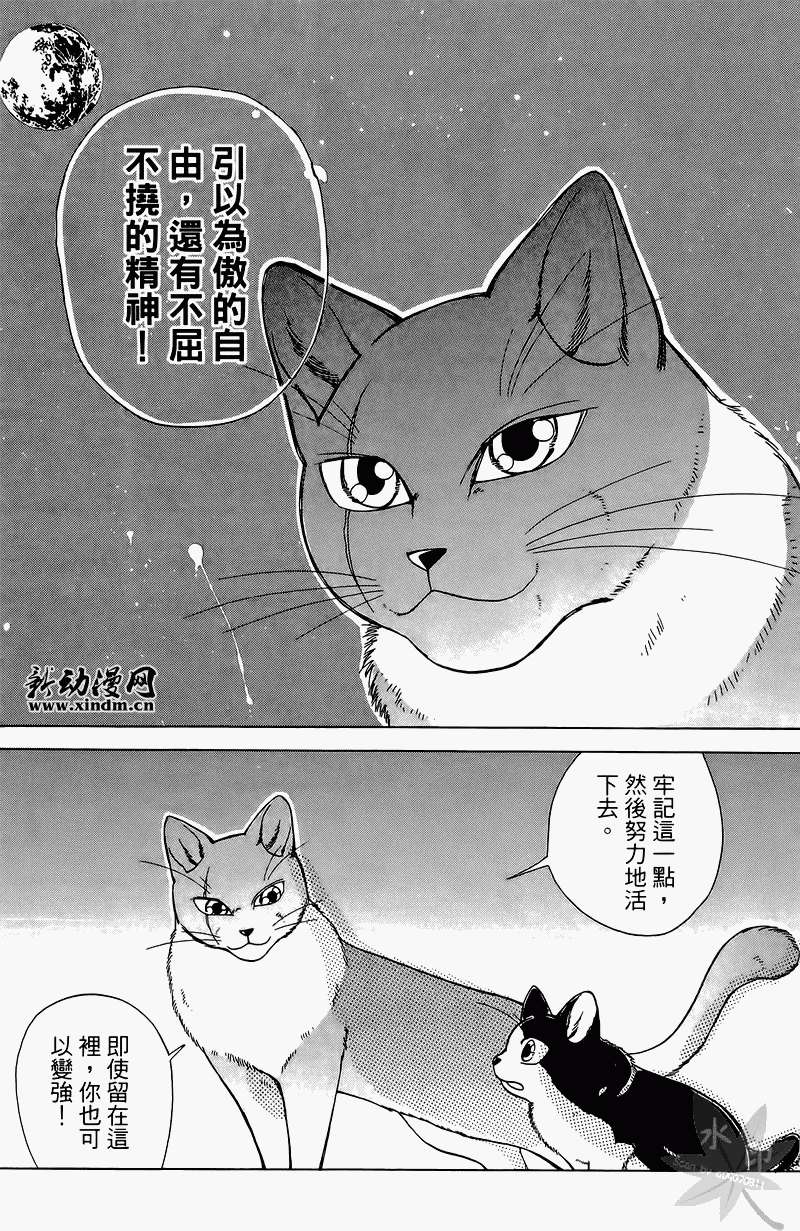 第134页