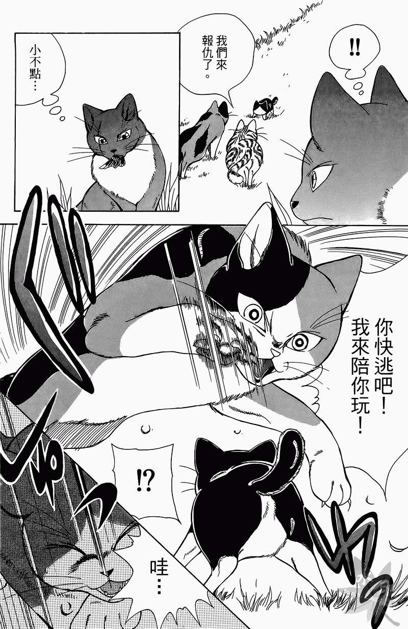 第137页