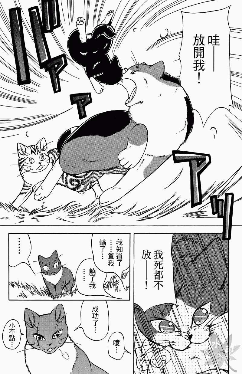 第139页