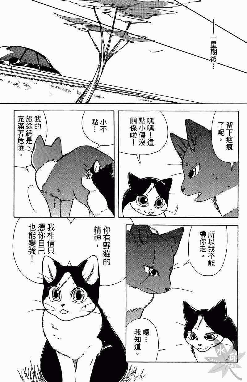 第142页