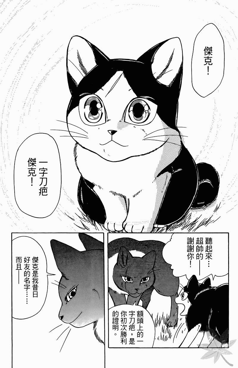 第144页