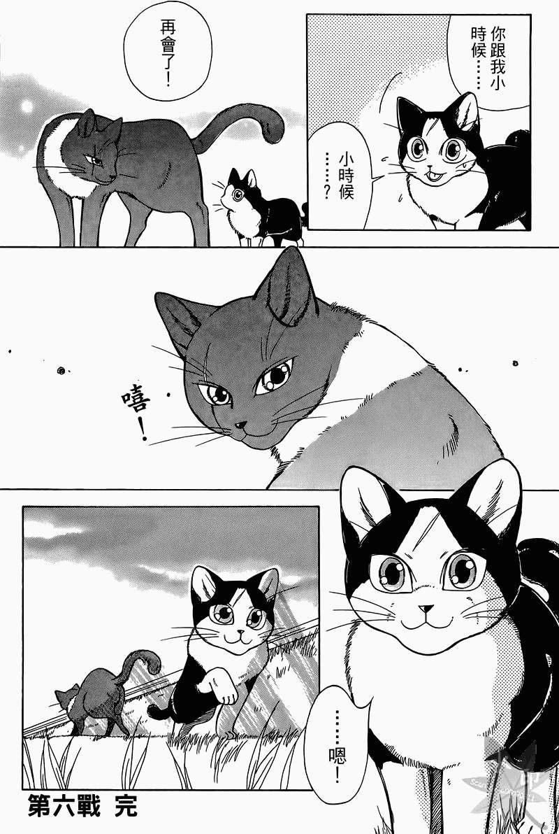 第145页