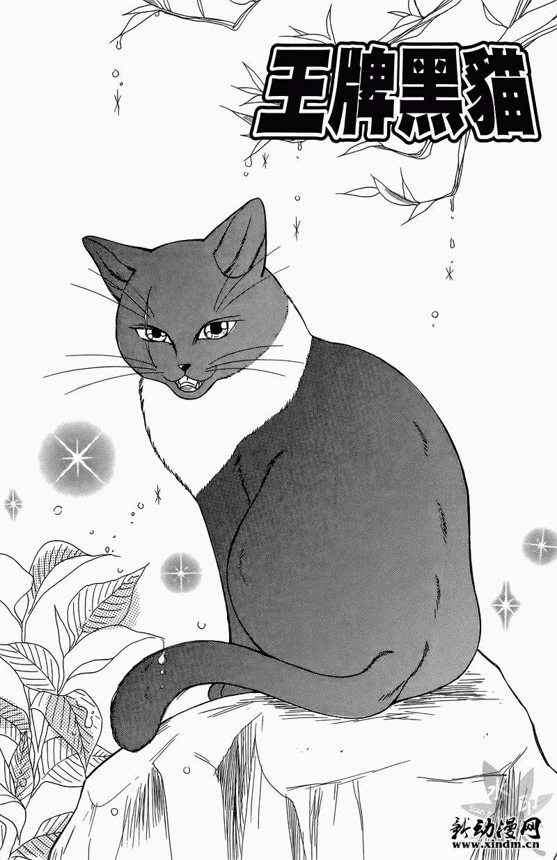 第146页