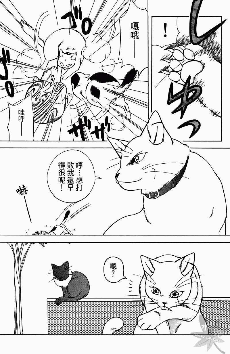 第172页