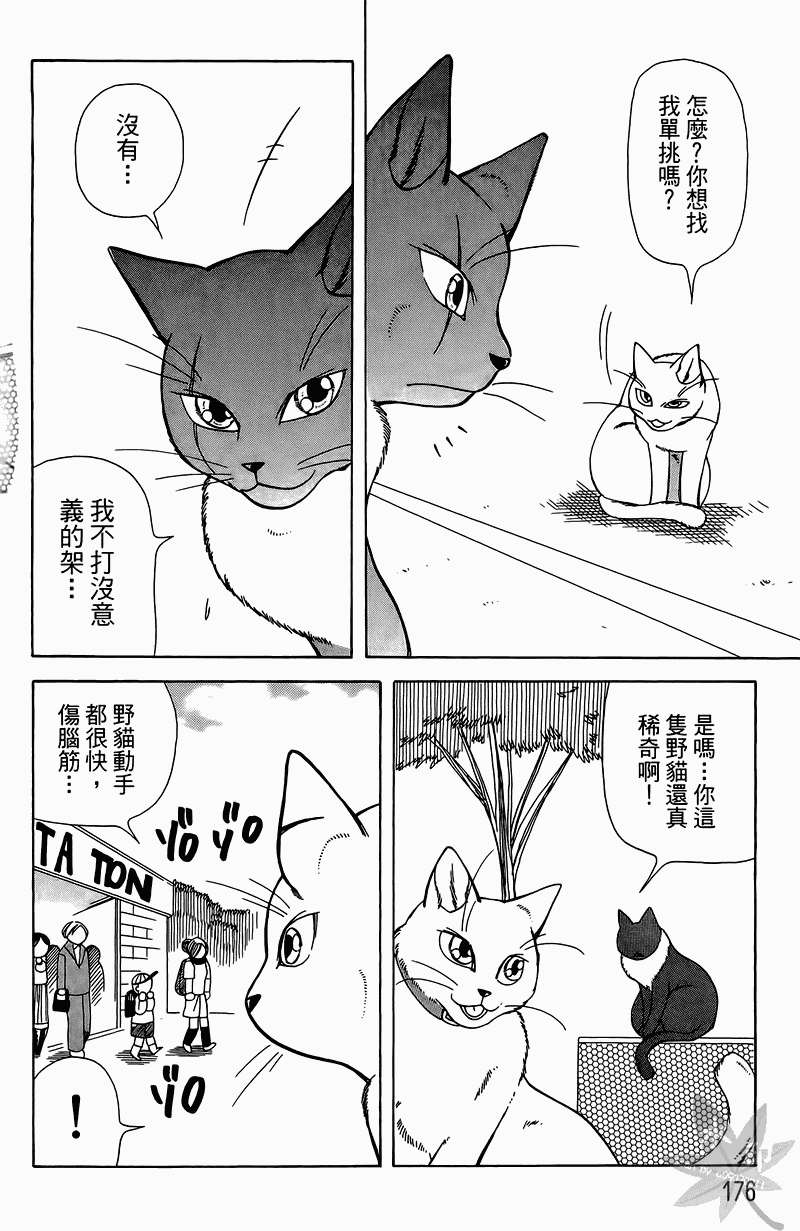 第173页
