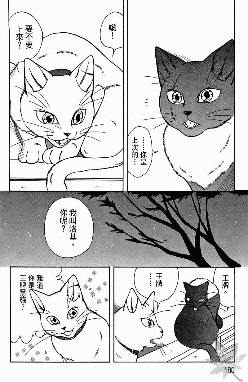 第177页