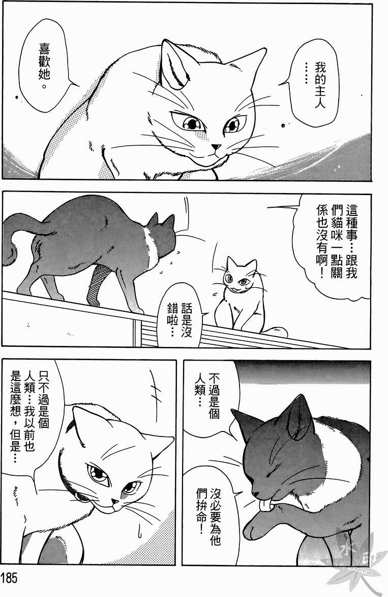 第182页