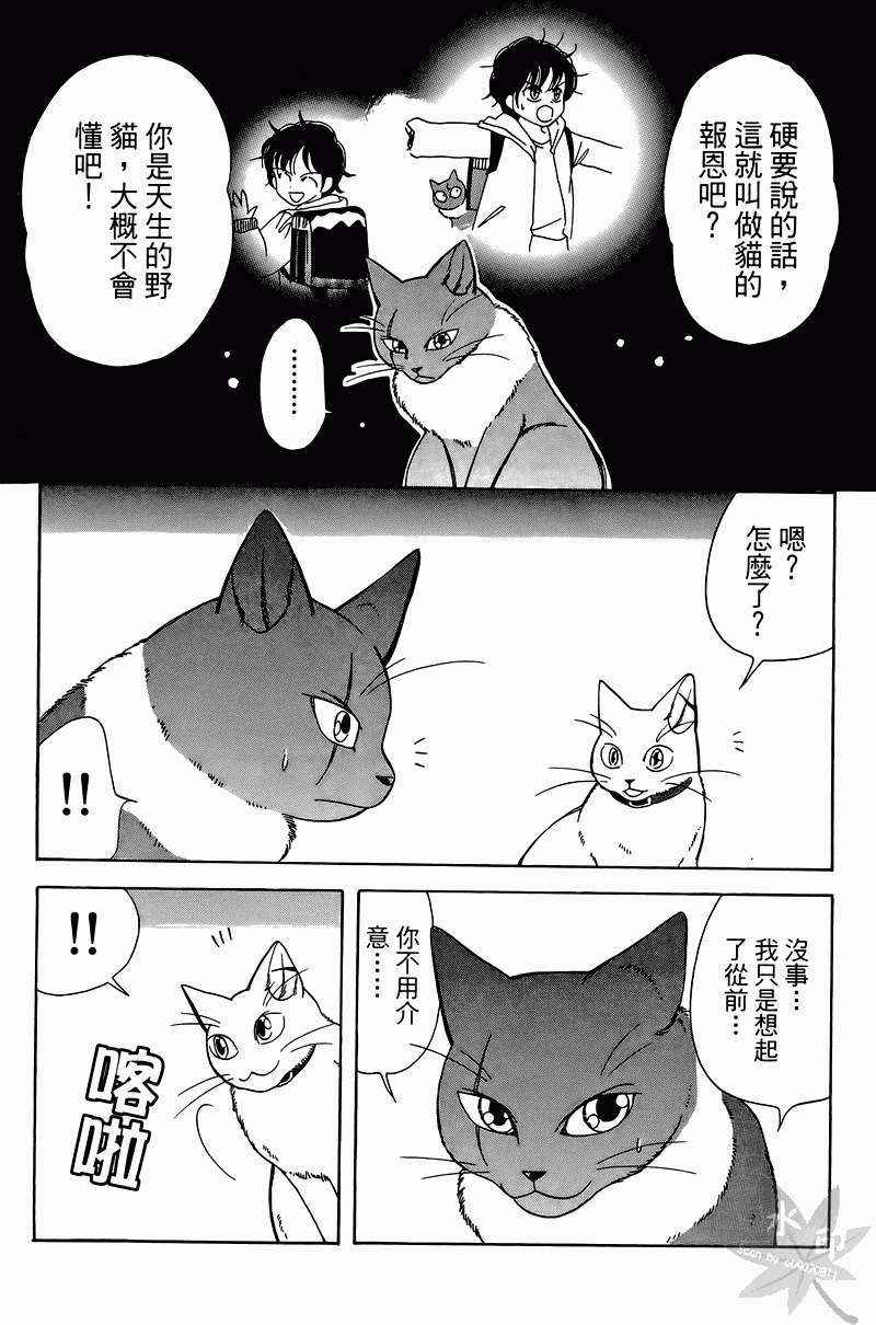 第184页
