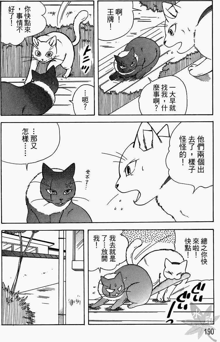第187页