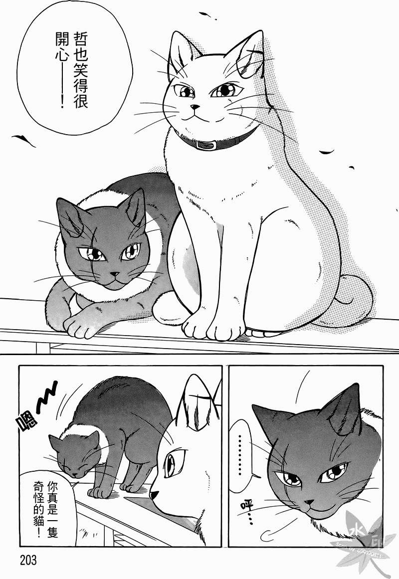 第200页