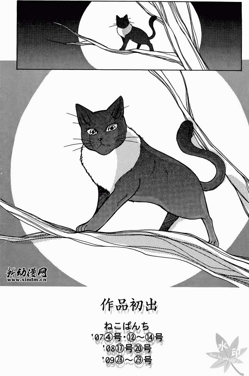 第202页