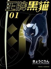 王牌黑猫