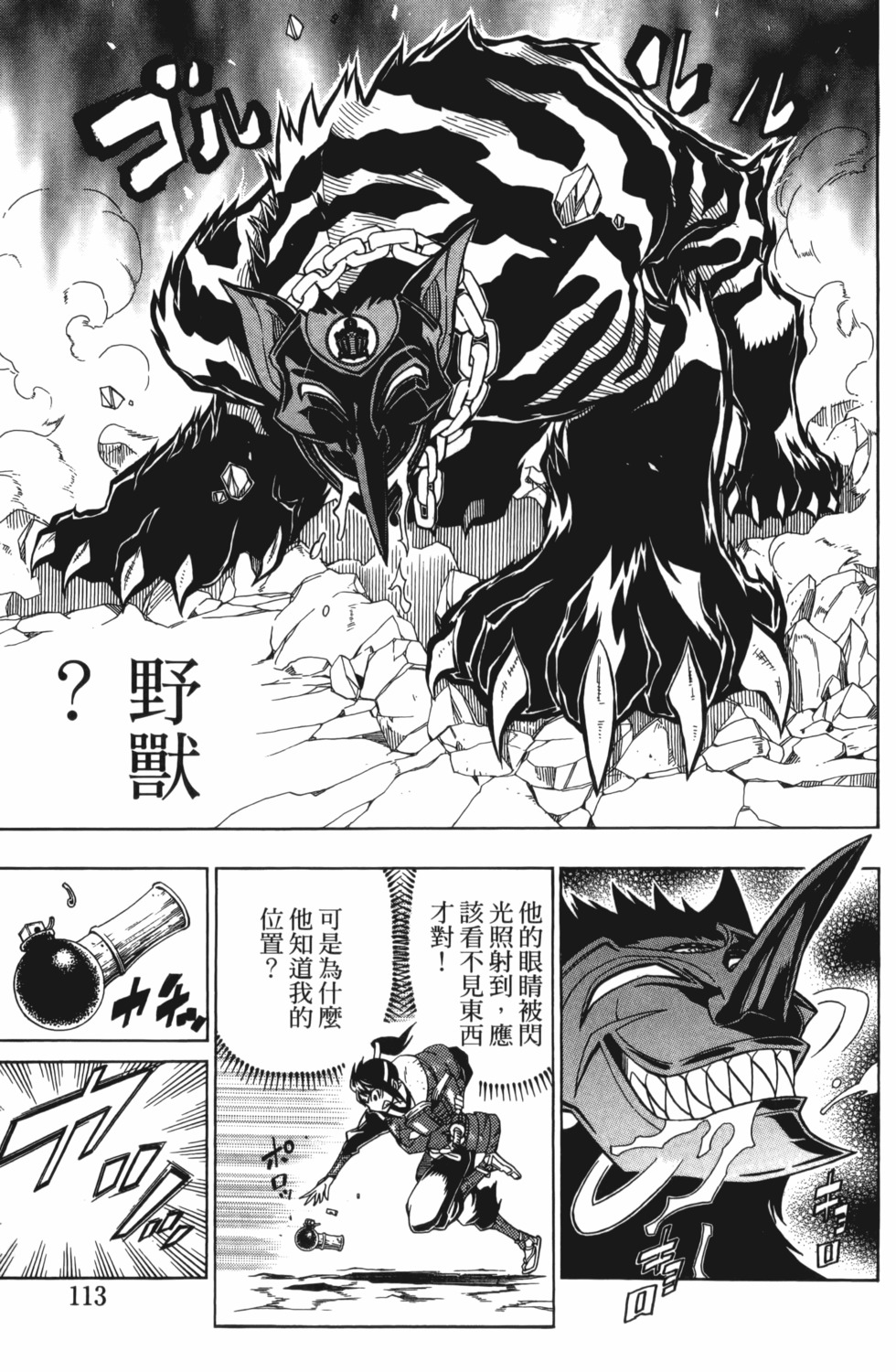 第113页