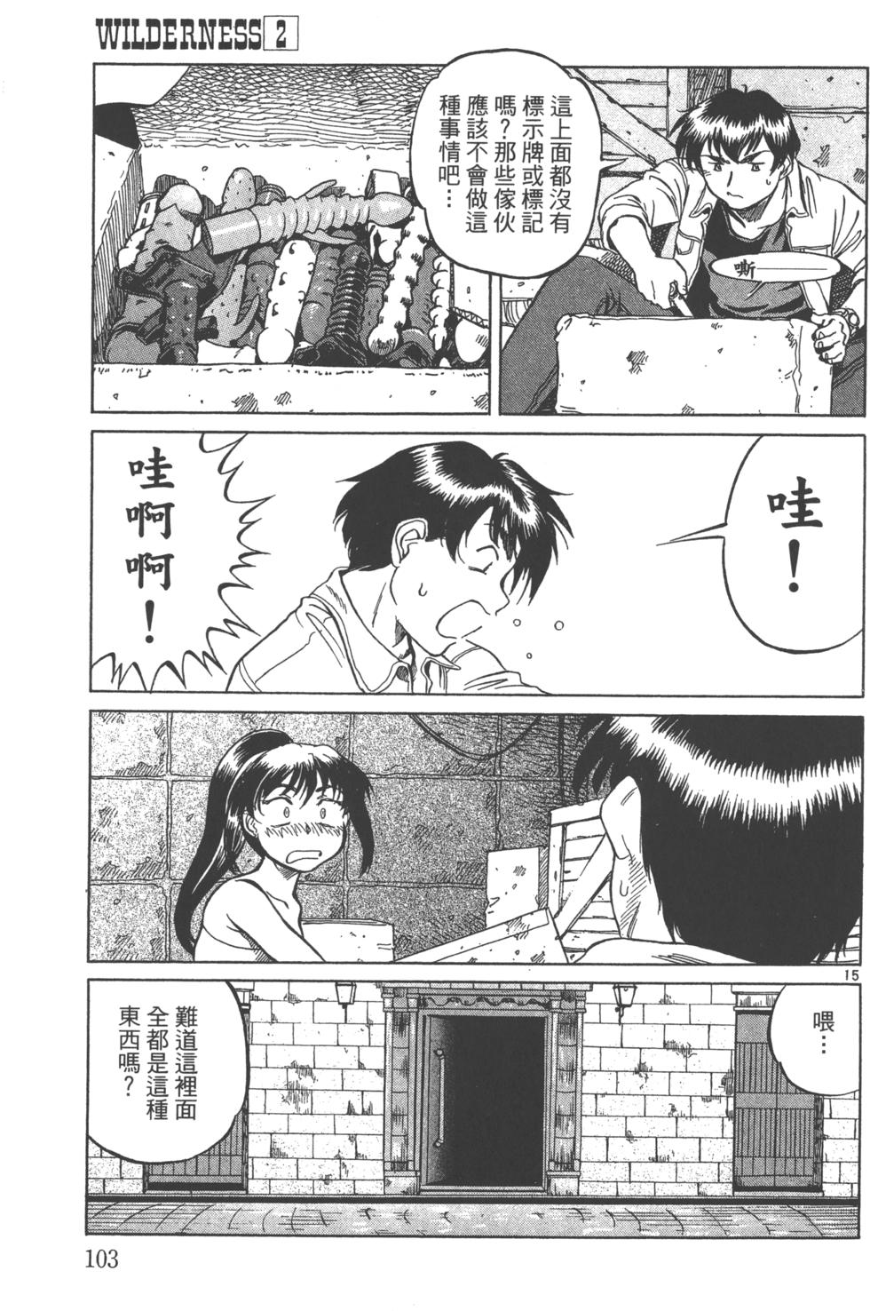 第100页