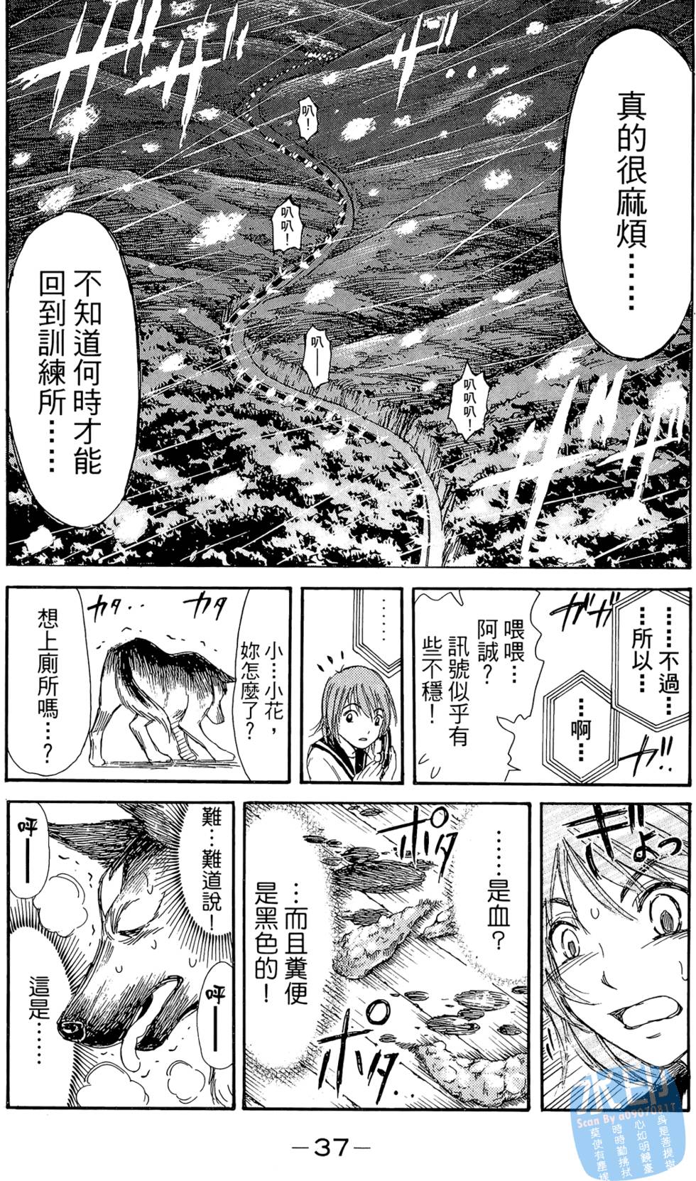 第36页