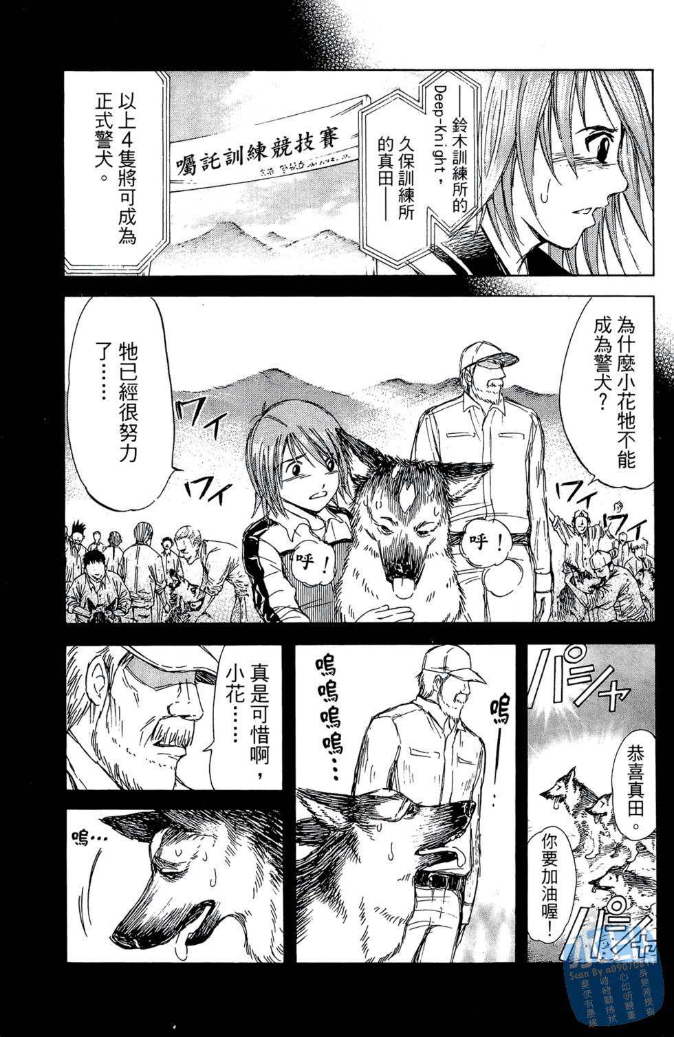 第40页