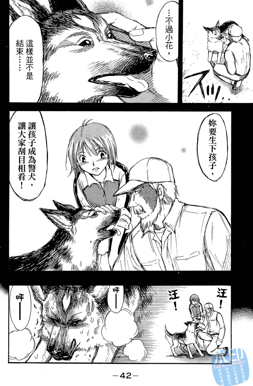 第41页