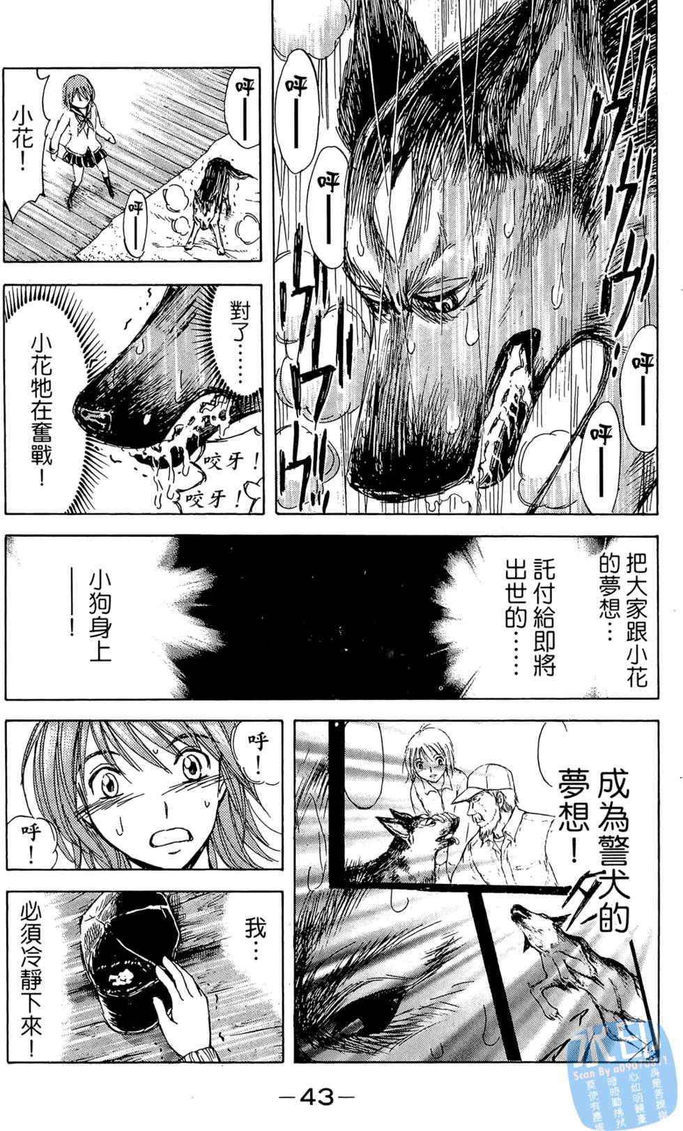 第42页