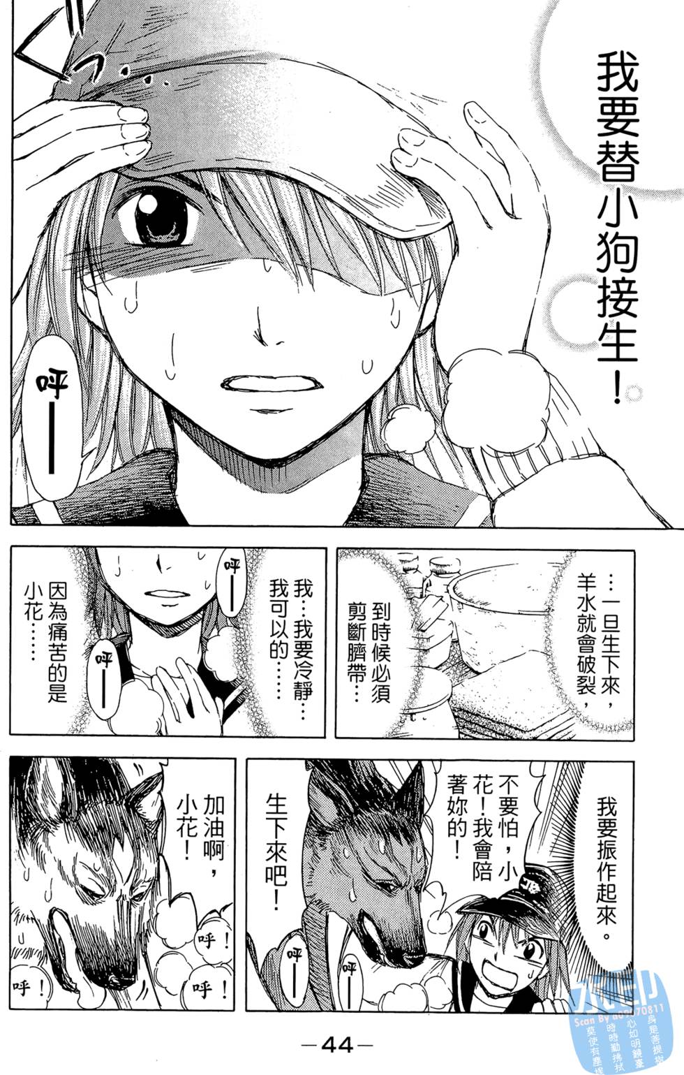 第43页