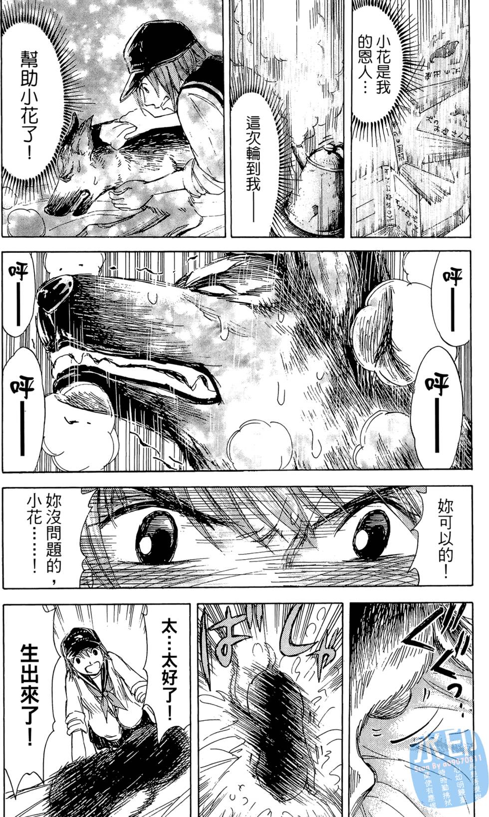 第44页