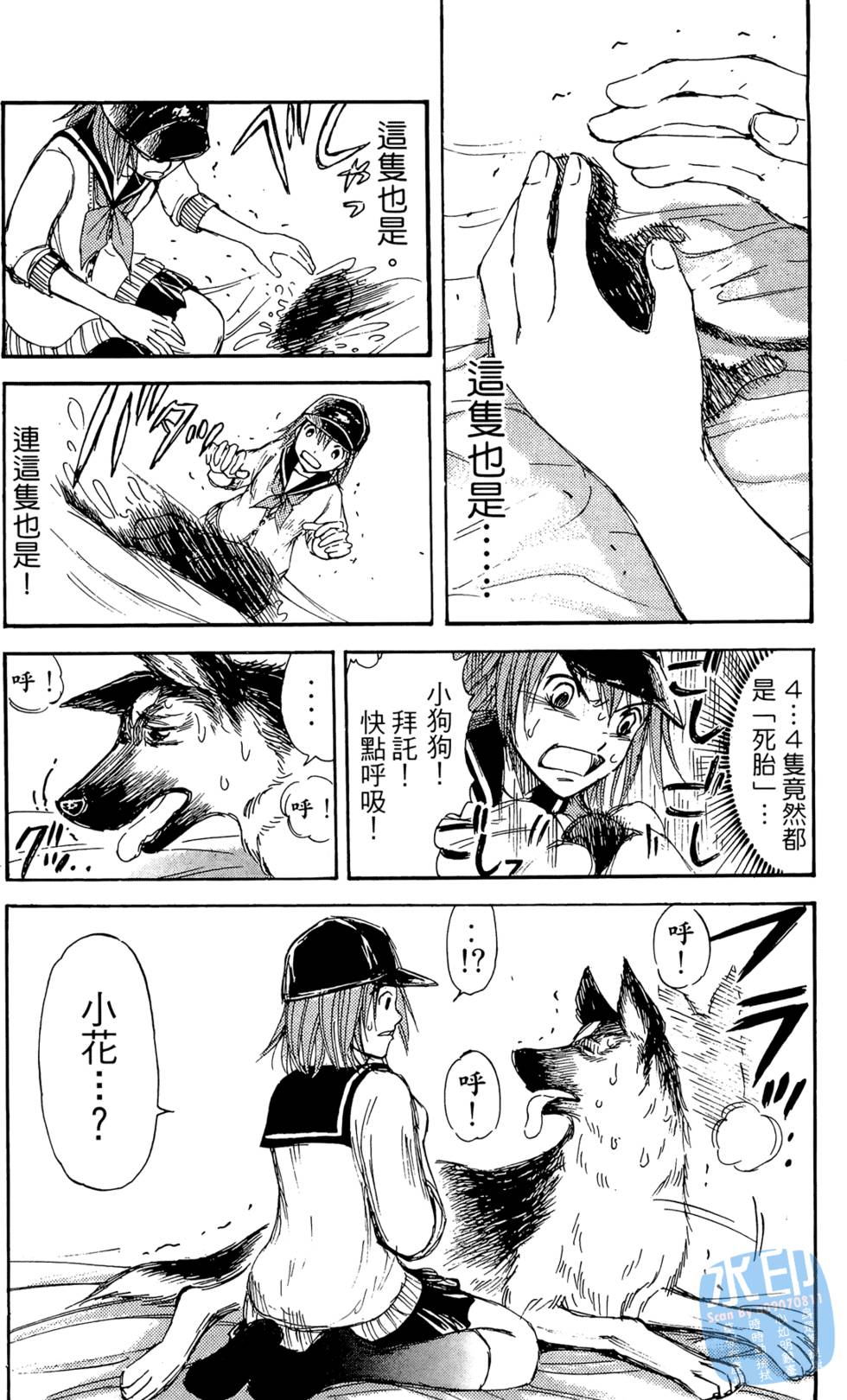 第46页