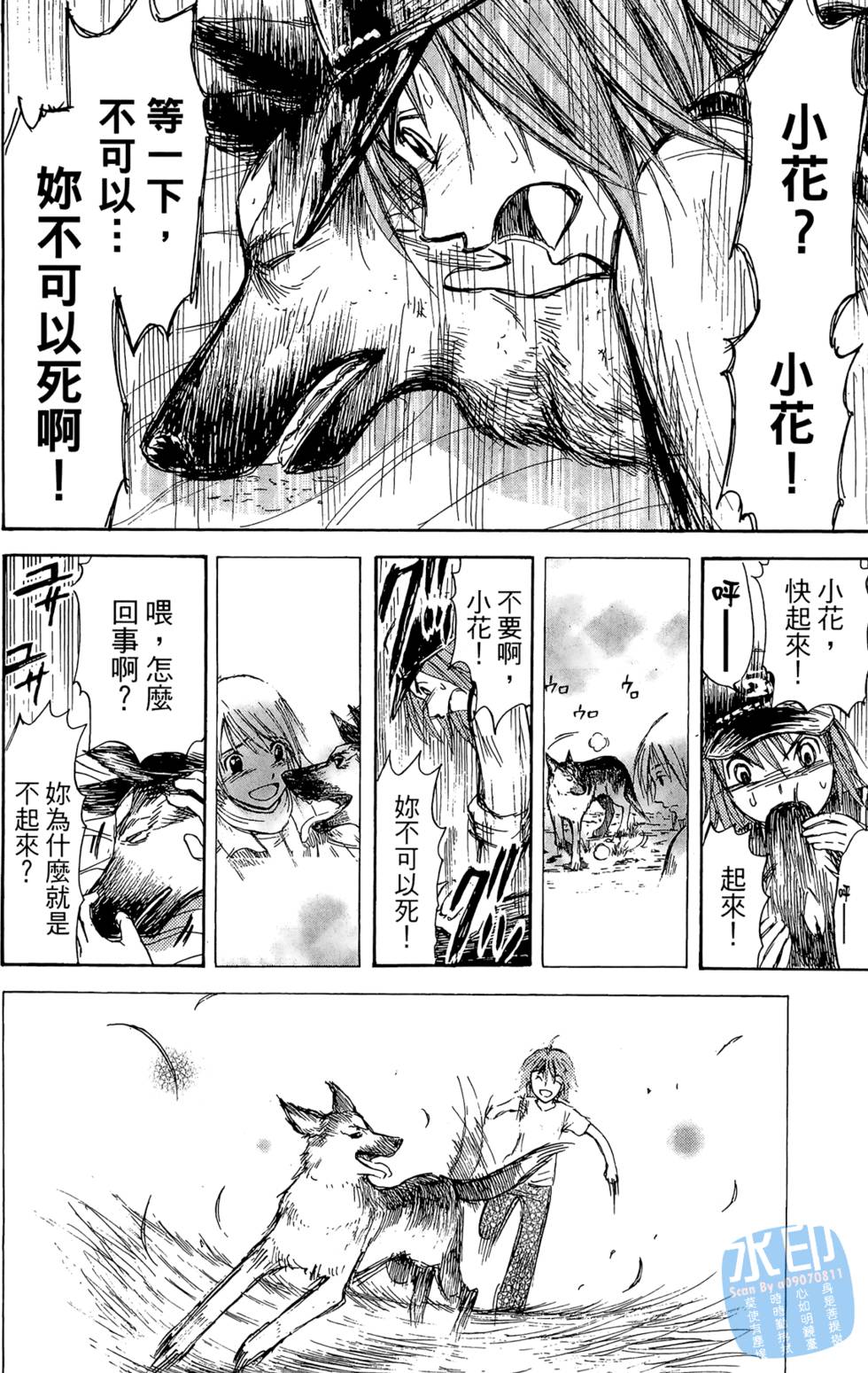 第49页