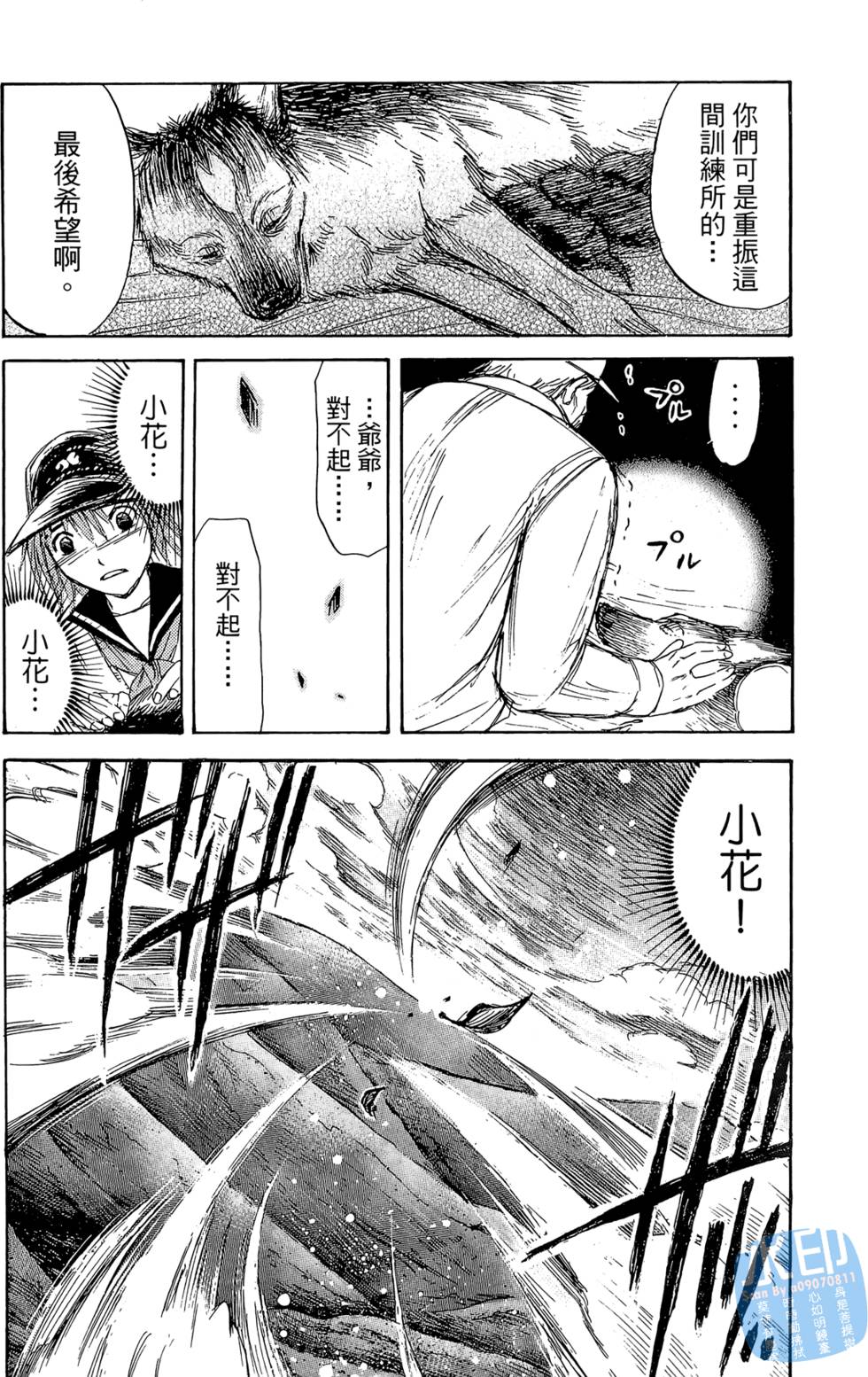 第53页
