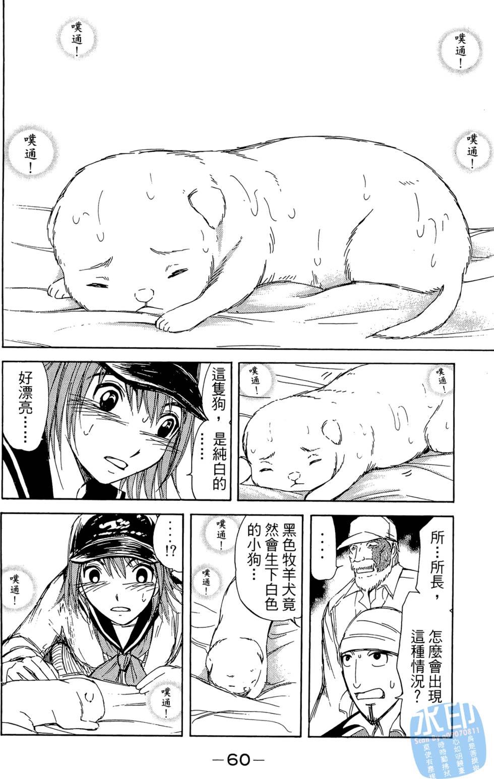 第59页