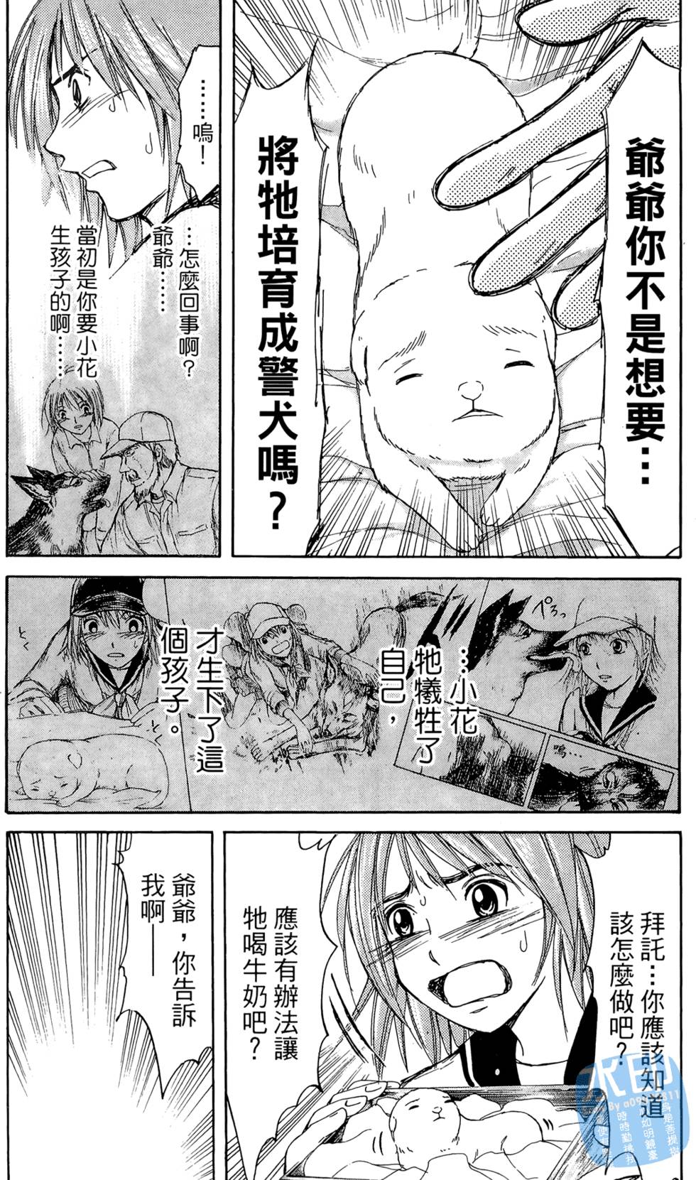 第82页