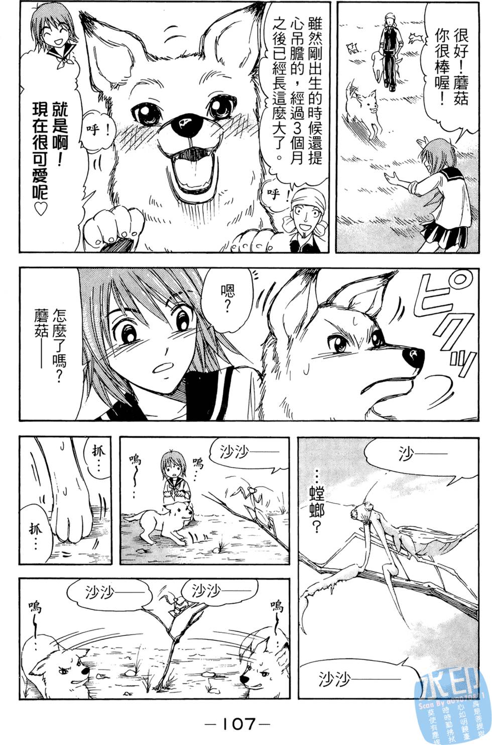 第106页