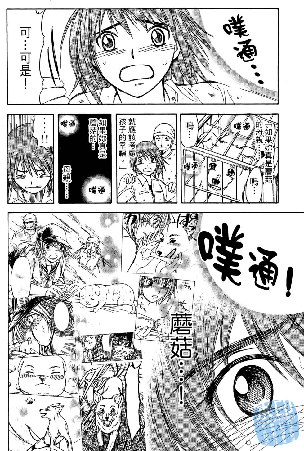 第144页