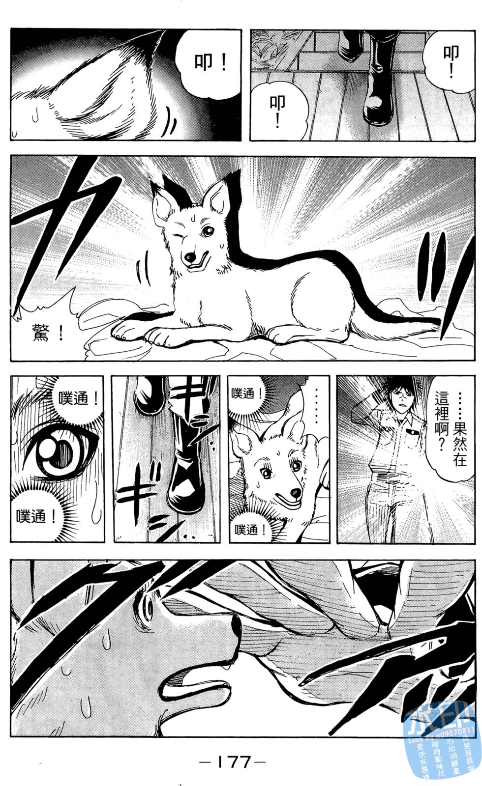 第167页