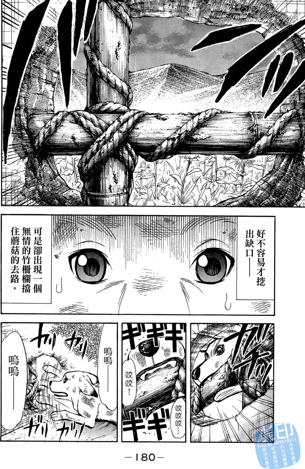 第170页