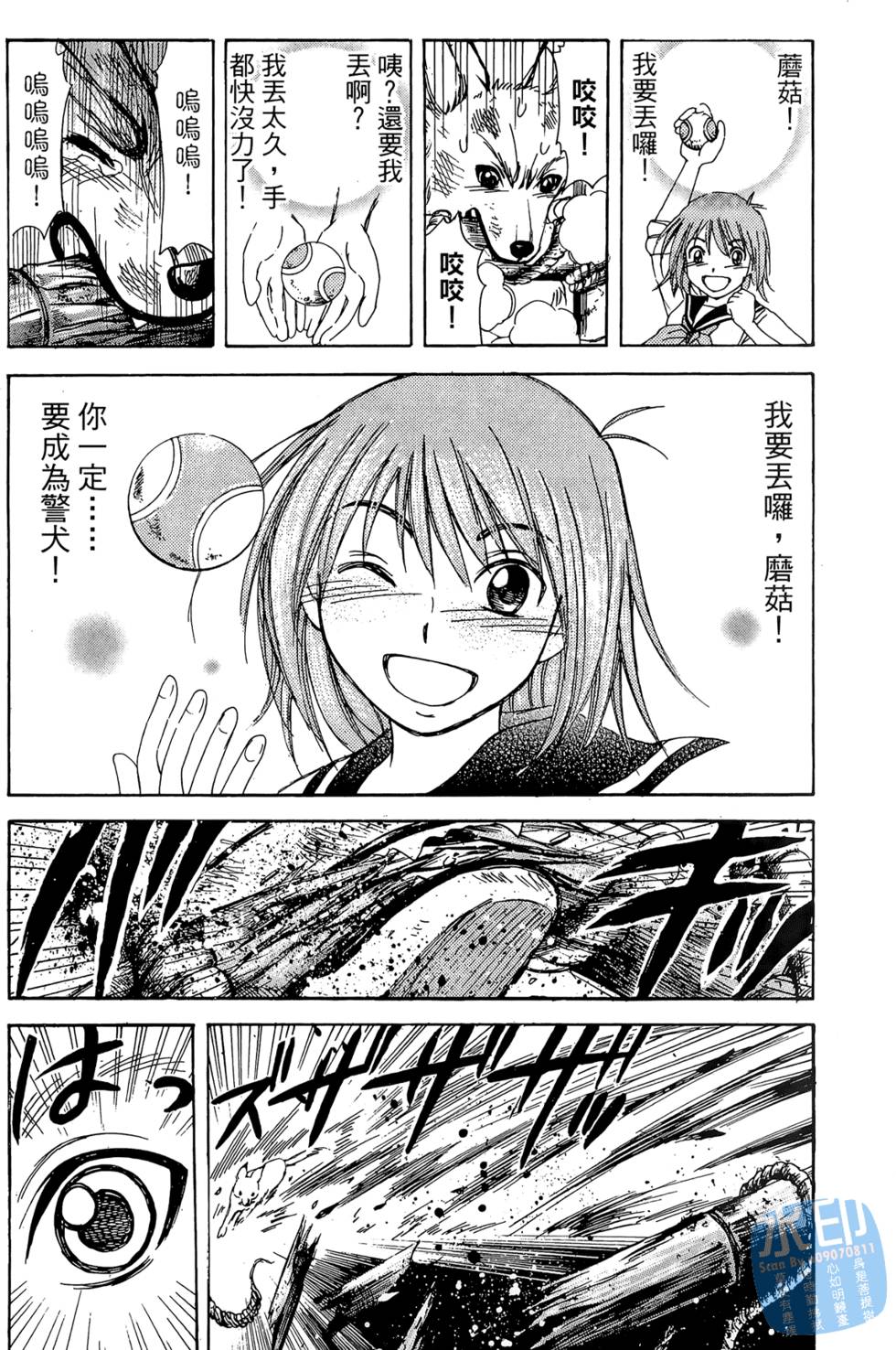 第172页