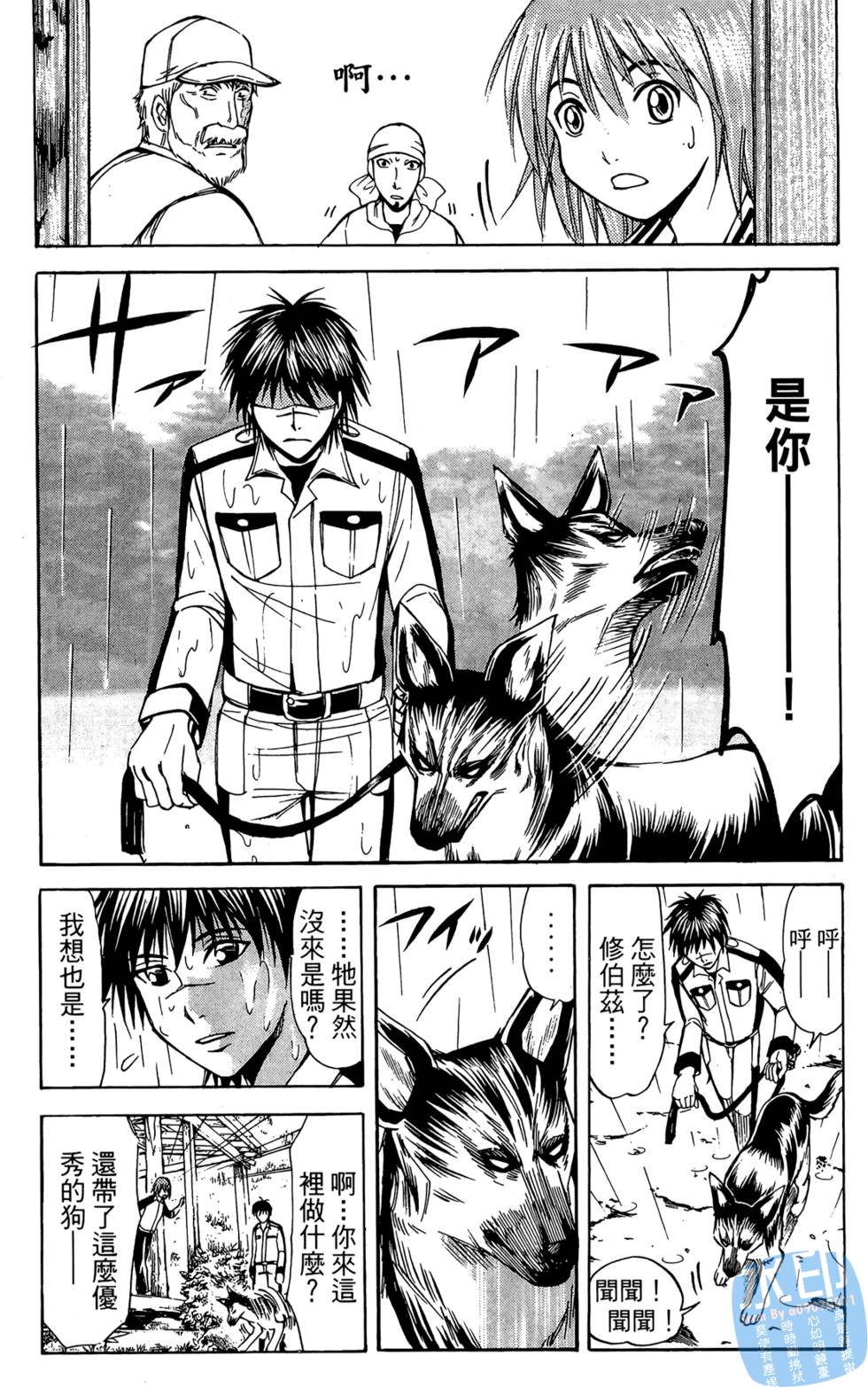 第46页