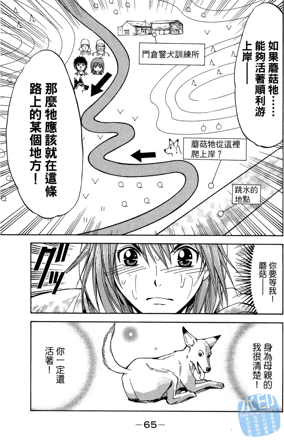第64页