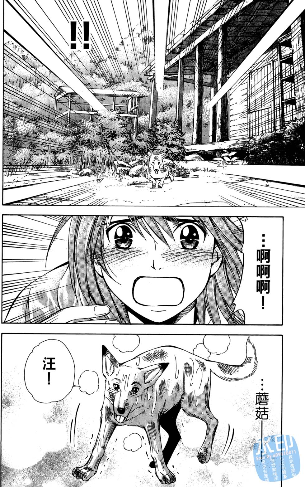 第77页