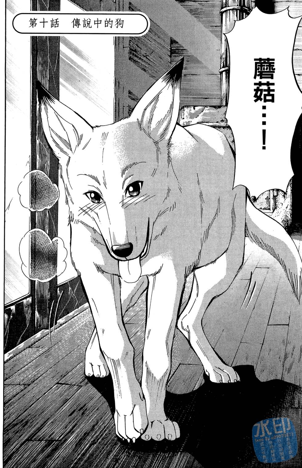 第83页