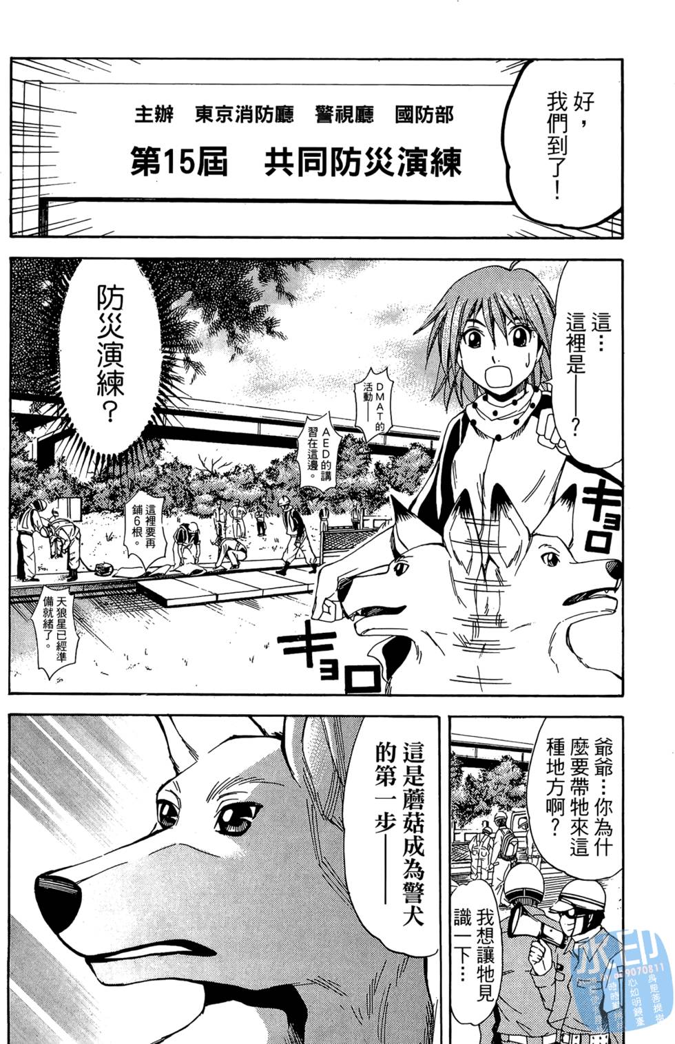 第91页
