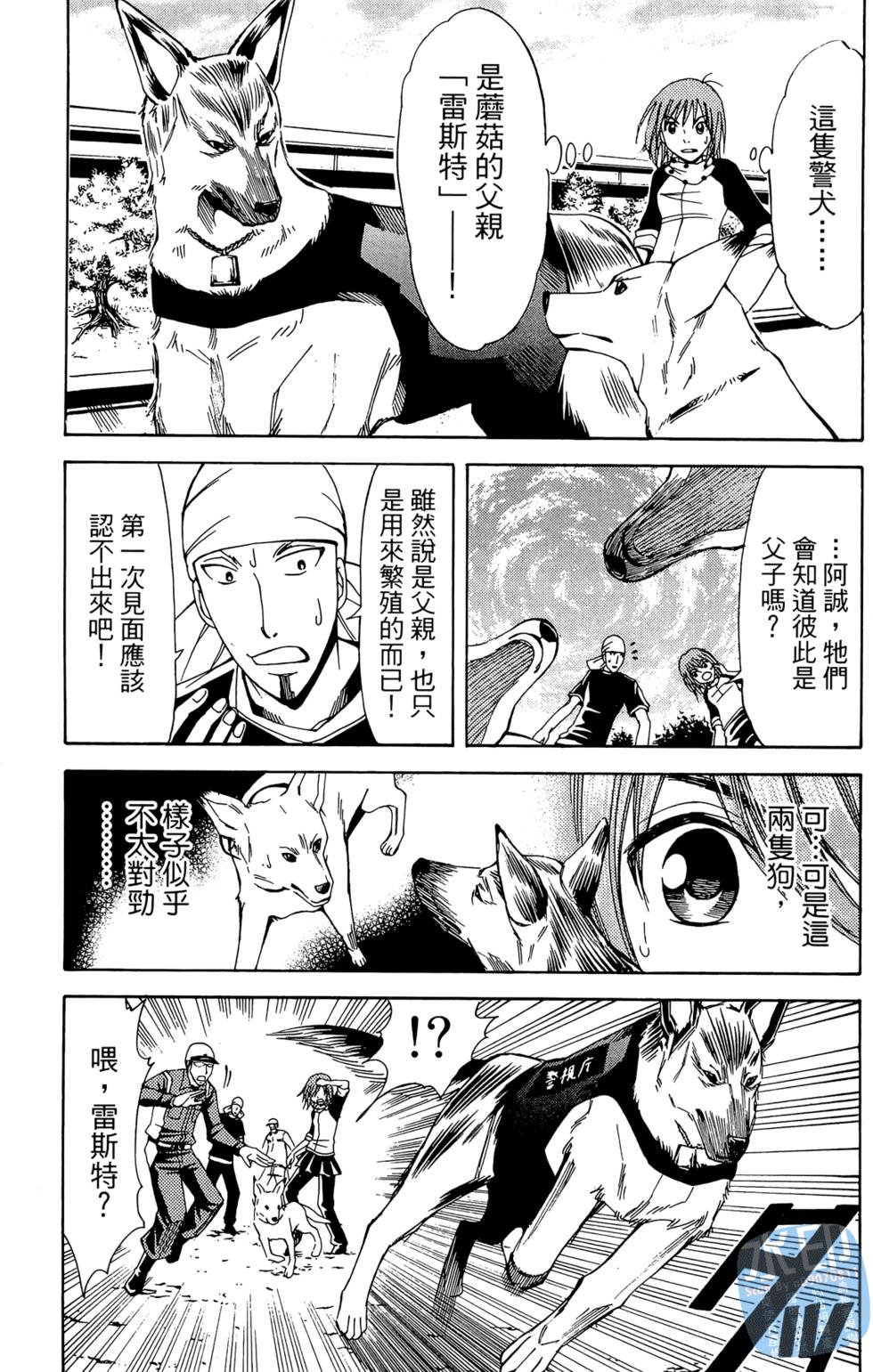 第104页