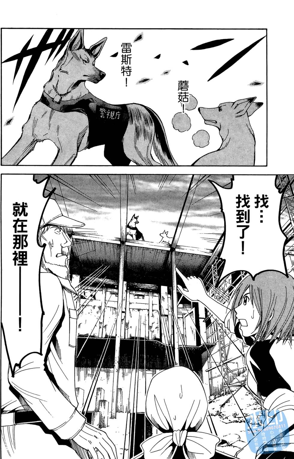 第113页