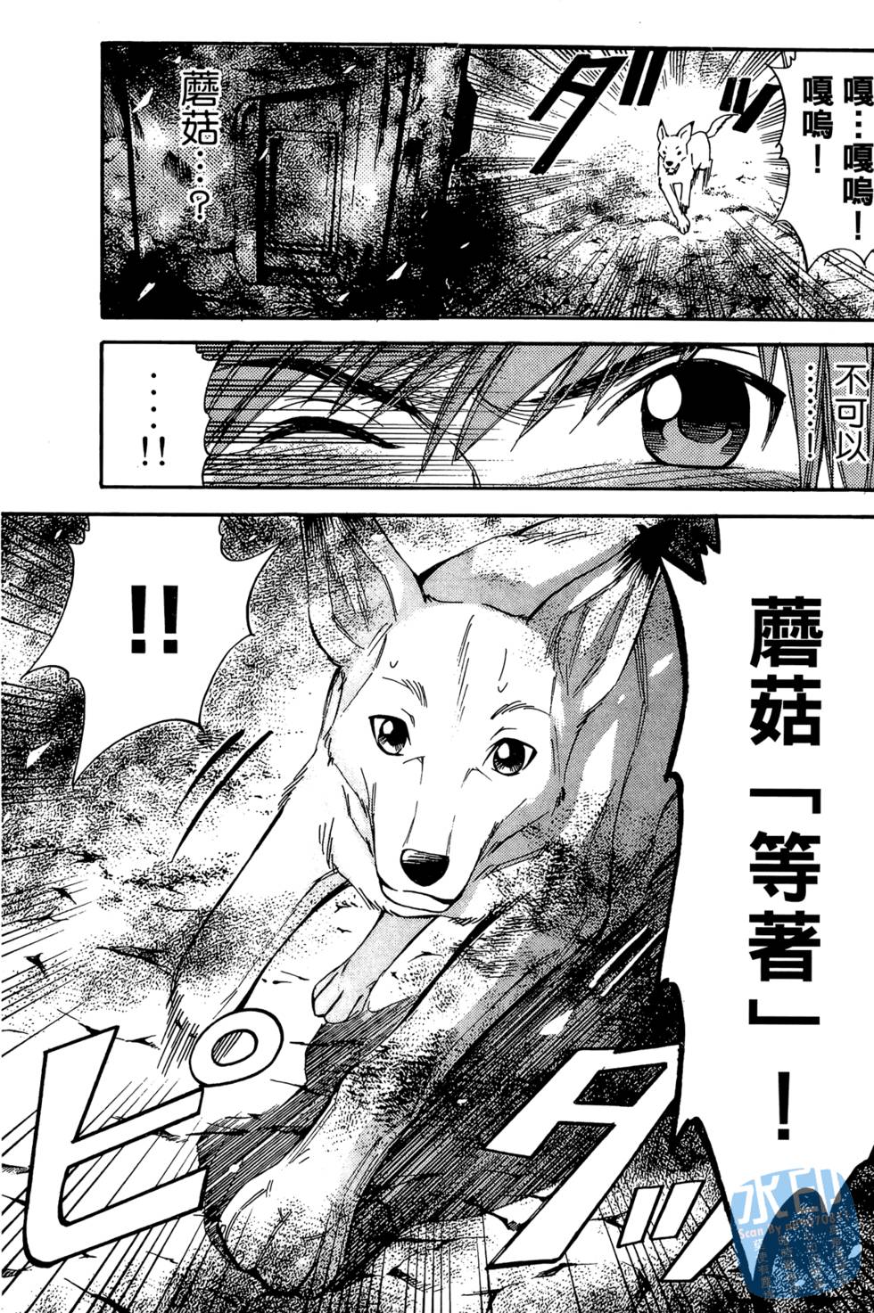 第162页