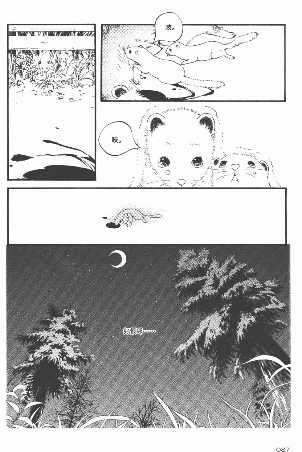 第88页