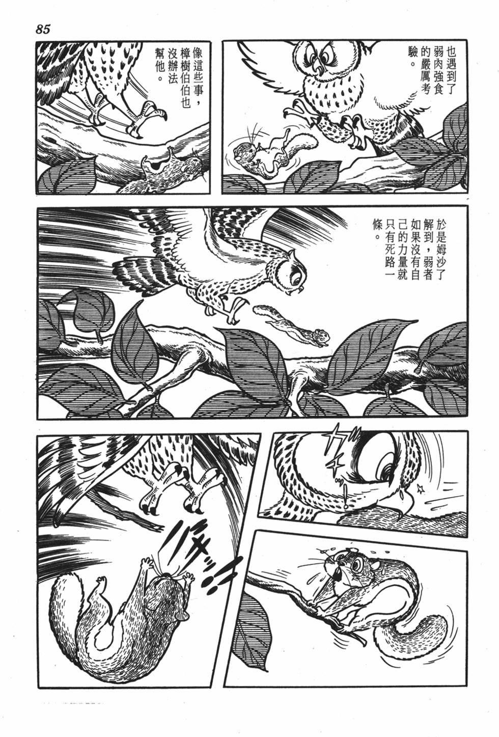 第81页