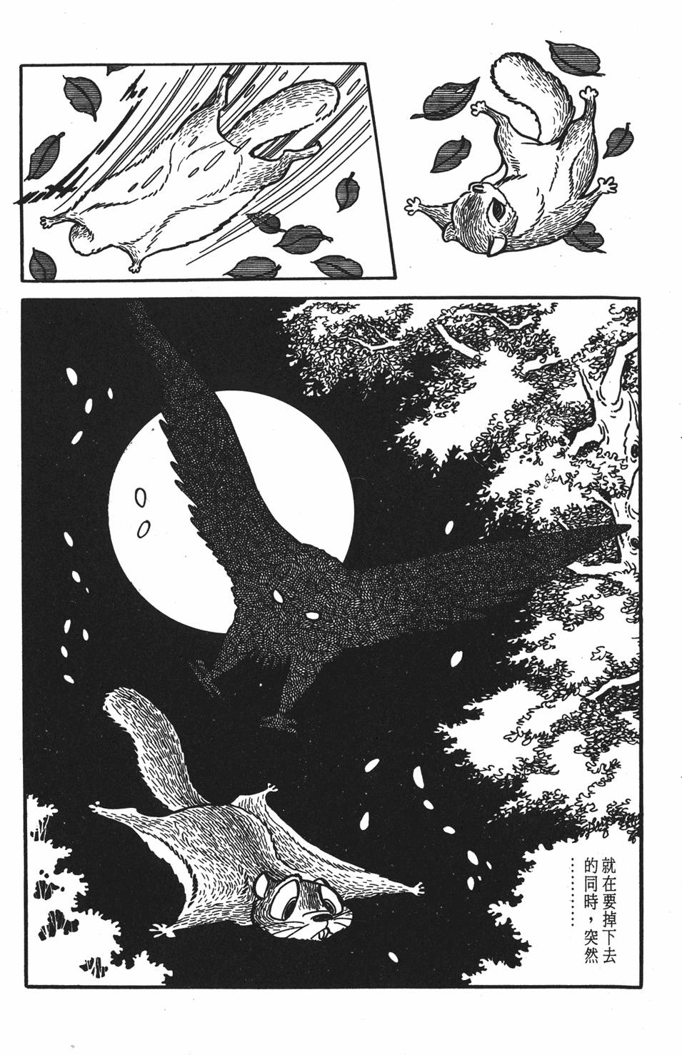 第82页