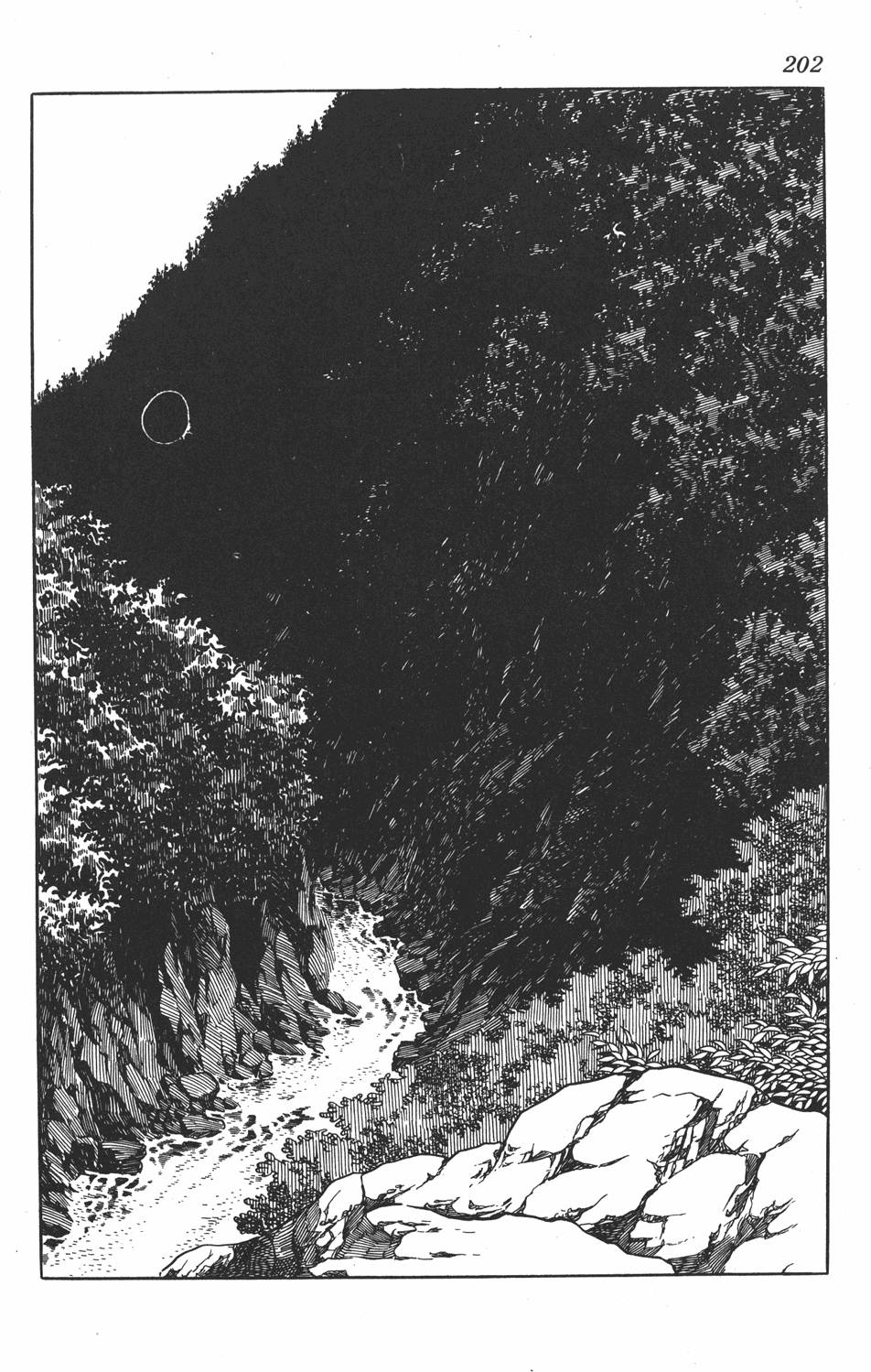 第196页